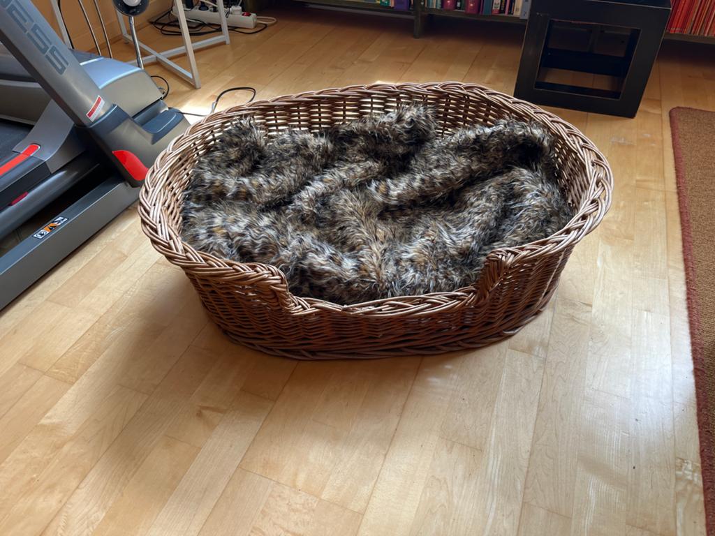 Hondenmand, Dieren en Toebehoren, Ophalen, Gebruikt, Overige
