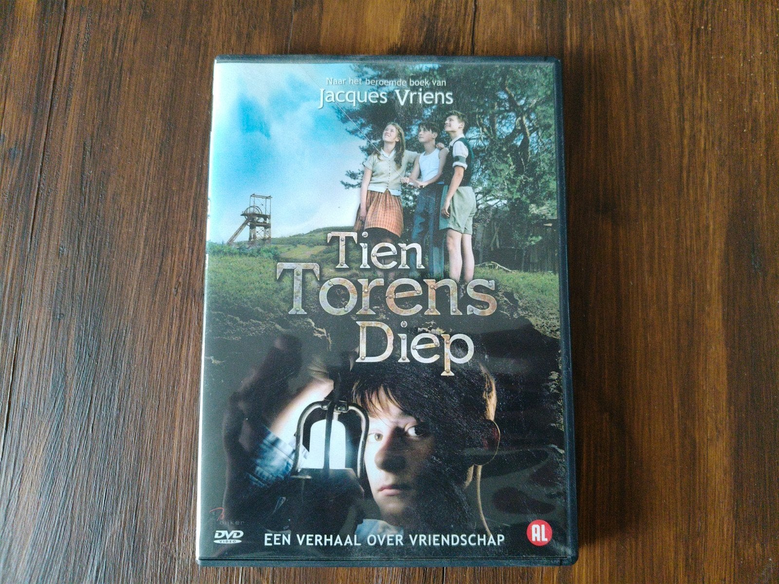 Tien Torens Diep DVD - Avontuurlijke jeugdfilm, Vanaf 6 jaar, Ophalen of Verzenden, Gebruikt, Nederlands