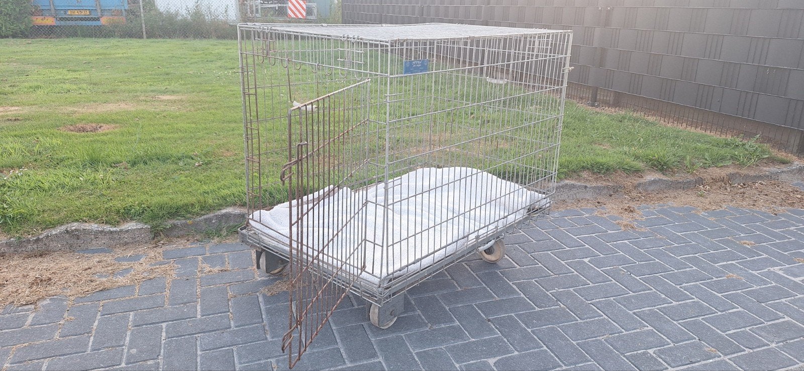 Bench hond, Ophalen