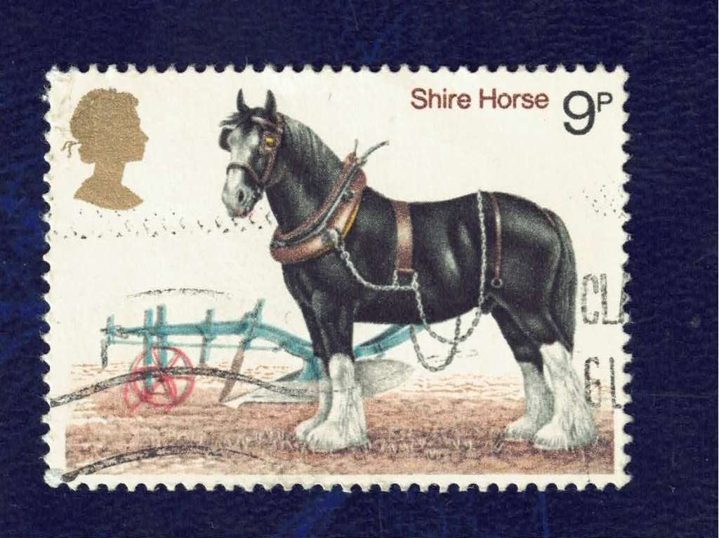 Fauna - Paarden - England - 9p - "Shire Horse" - gebr, Ophalen of Verzenden, Gestempeld, Dier of Natuur