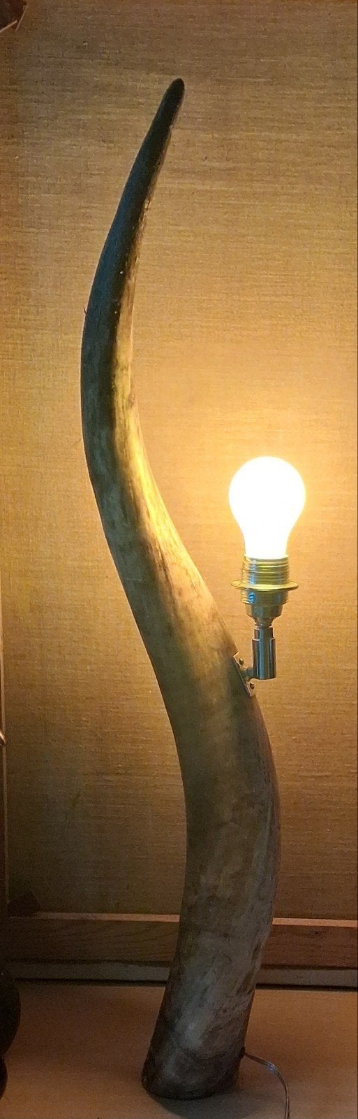 Vloerlamp. Buffelhoorn oid. 80 cm., Ophalen, Overige materialen, E27 (groot), Zo goed als nieuw