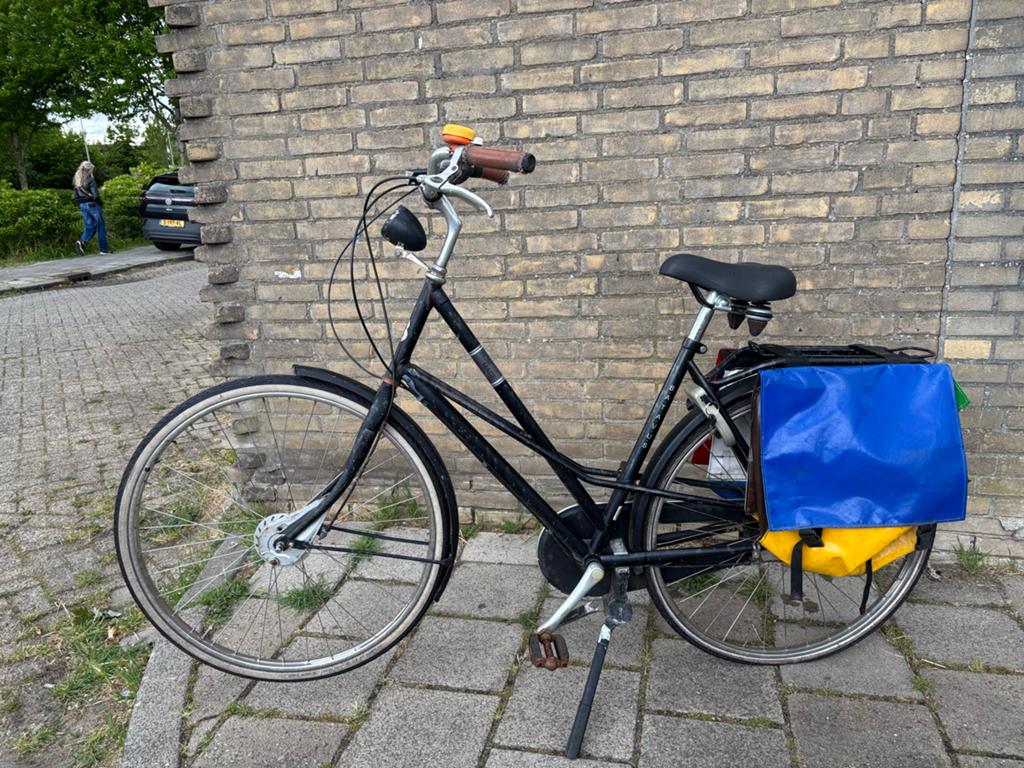 Batavus Hommage met Nexus 3 versnellingen, Ophalen of Verzenden, Zo goed als nieuw