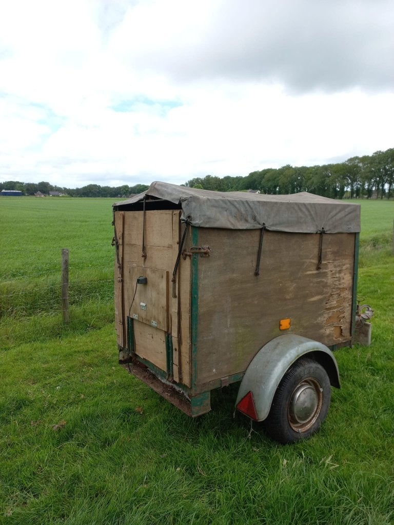 Veetrailer, Meerdere dieren, Schaap