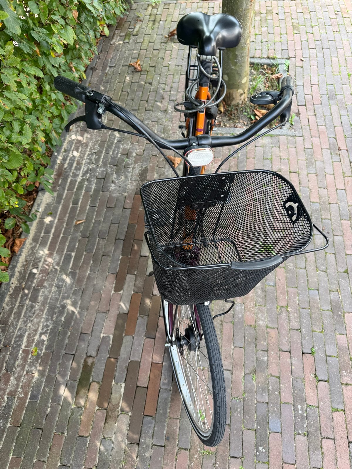 Foto 6 van Batavus Piazza damesfiets met mand en bagagedrager