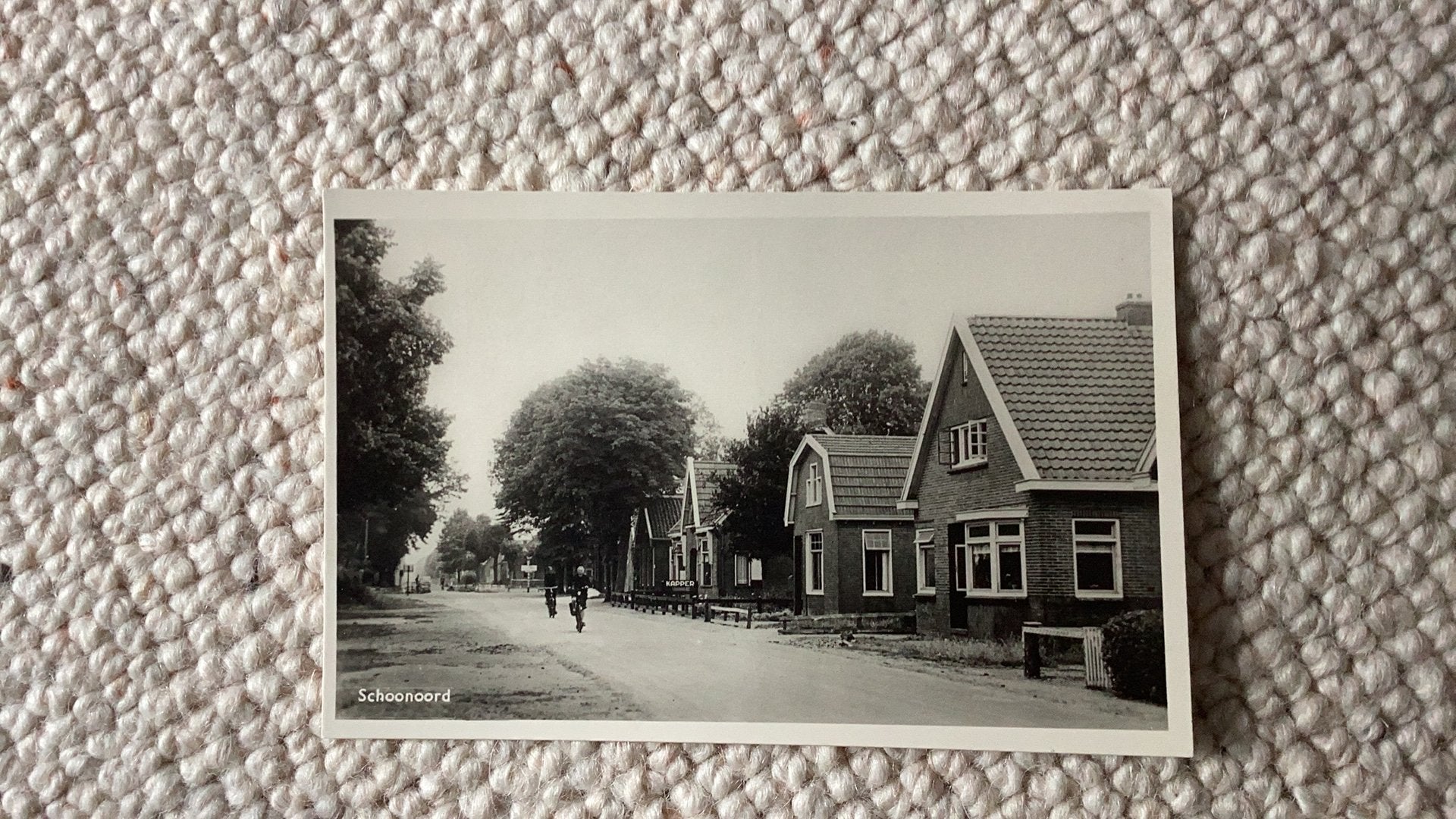 Ansichtkaart Schoonoord. 923, Verzamelen, Ophalen of Verzenden, 1940 tot 1960, Ongelopen, Drenthe