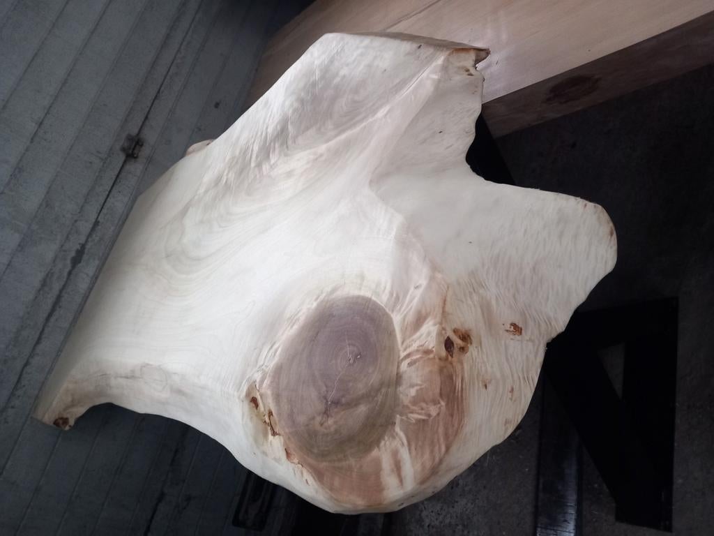 Boomstamtafels, tafelbladen en planken, Ophalen, 50 tot 100 cm, Rechthoekig, Nieuw