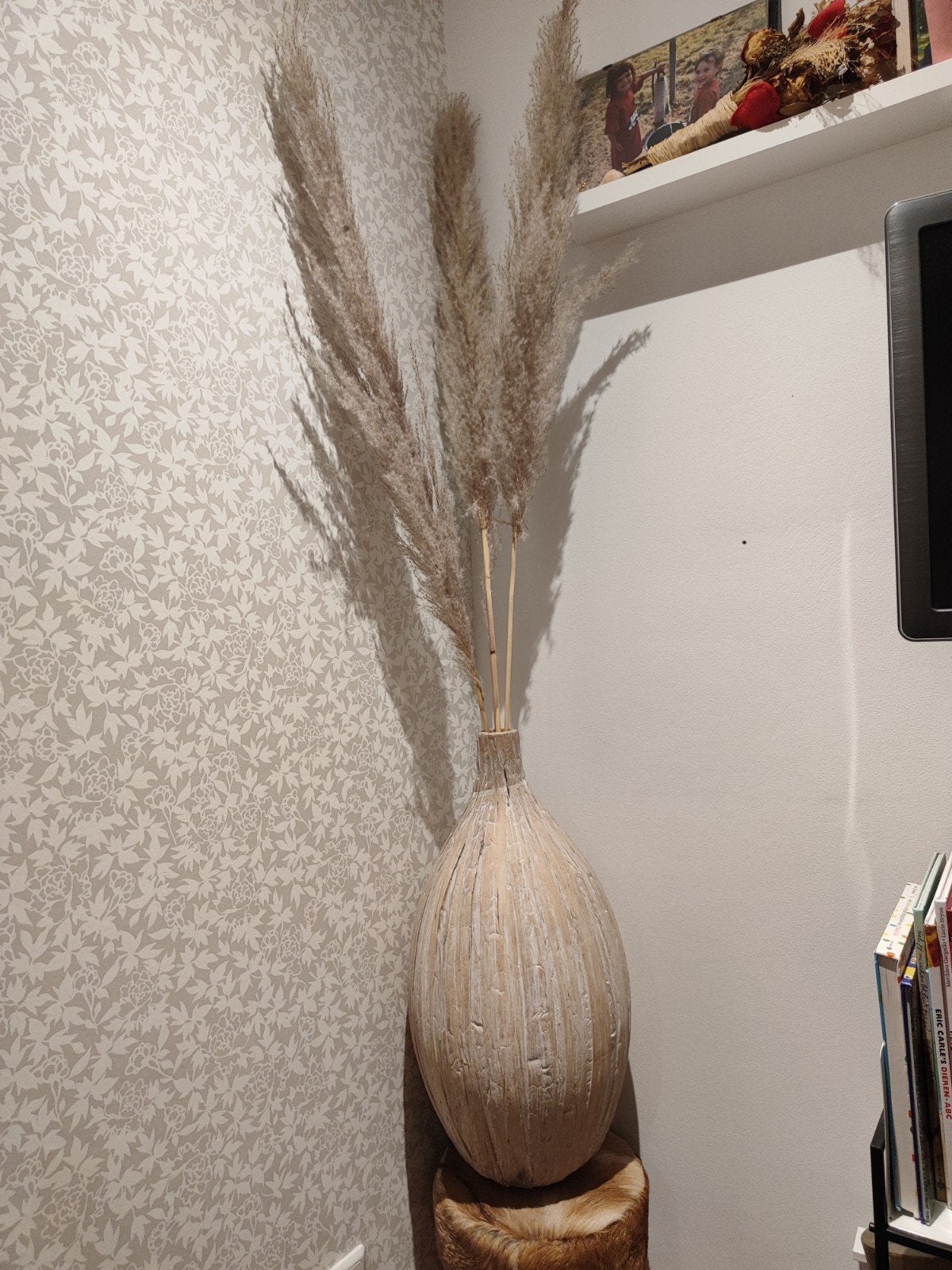 Grote vaas met pluimen, Ophalen, Zo goed als nieuw, Beige, Natuurlijk materiaal