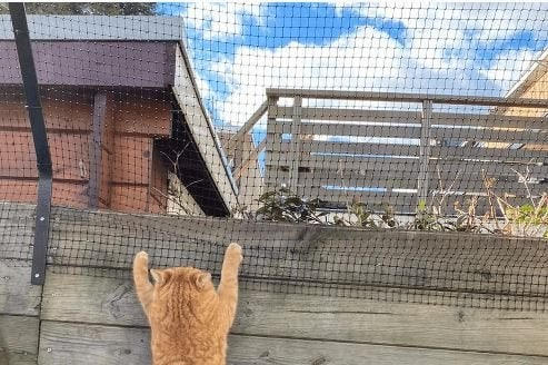 Tuin afscherming kat - Kattengaas 20m doe het zelf pakket, Dieren en Toebehoren, Katten-accessoires, Ophalen of Verzenden, Nieuw