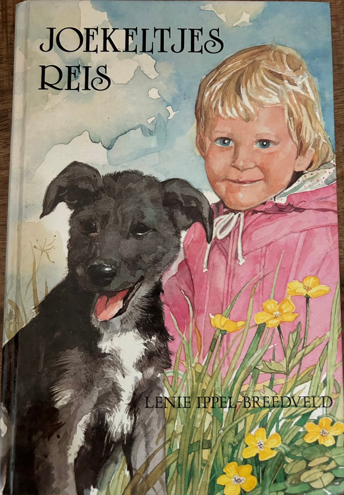 Joekeltjes Reis - Een onvergetelijk avontuur voor kinderen, Boeken, Ophalen of Verzenden, Gelezen