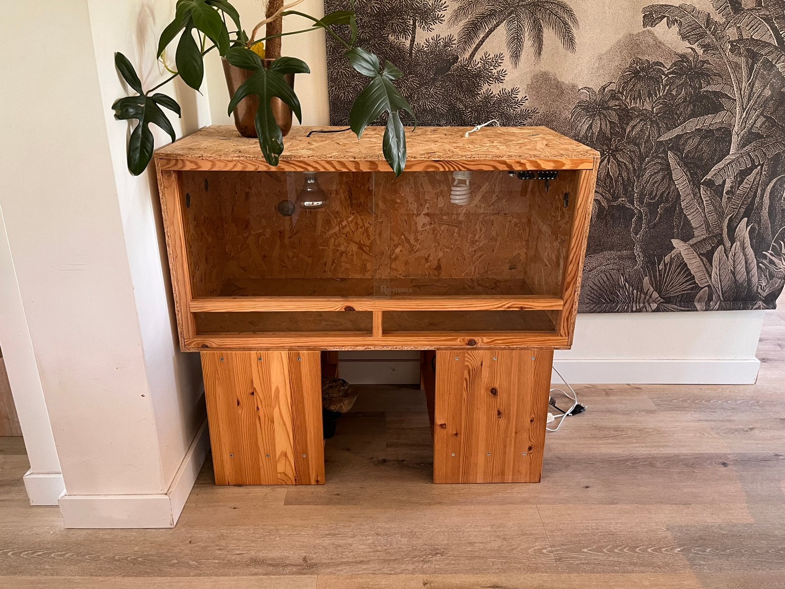 Terrarium + accessoires baardagaam reptiel 100 x 50 x 50, Ophalen, Gebruikt, Terrarium of Paludarium