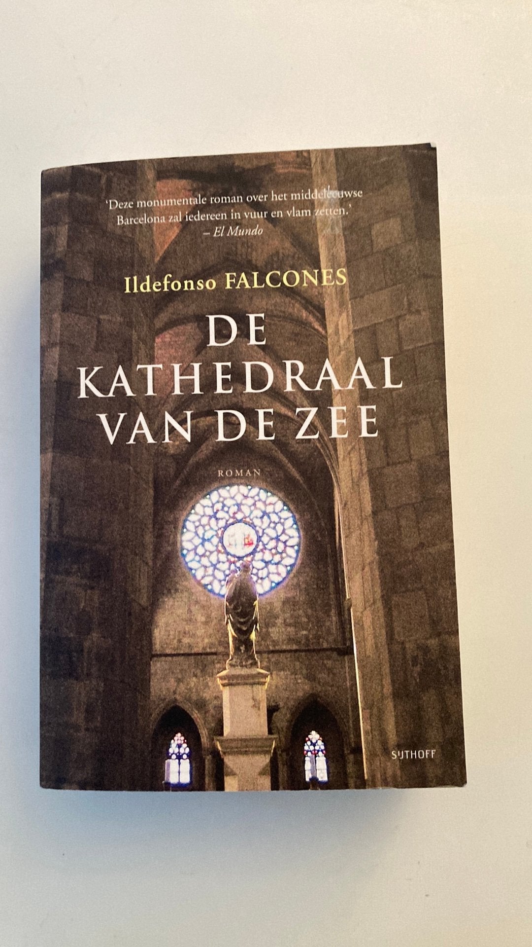 De kathedraal van de zee, Ildefonso Falcones, Boeken, Ophalen of Verzenden, Zo goed als nieuw, Ildefonso Falcones