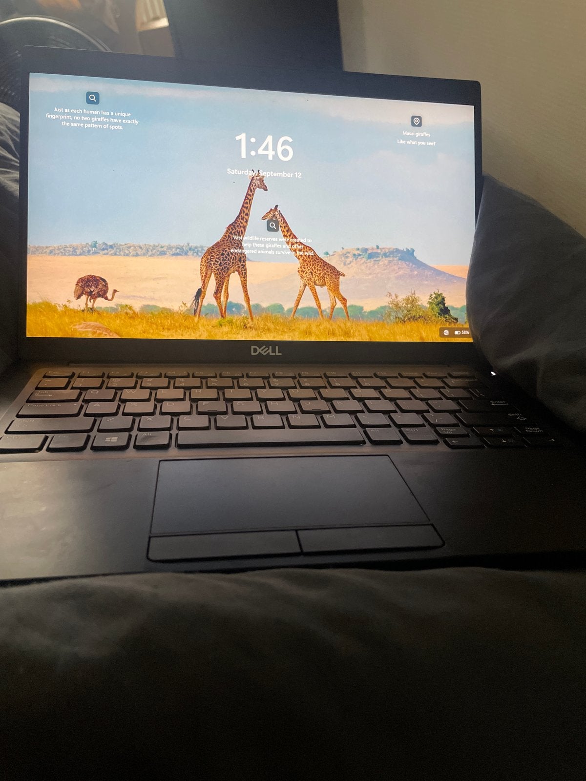 Dell Laptop - Touchscreen - Goed onderhouden en functioneel