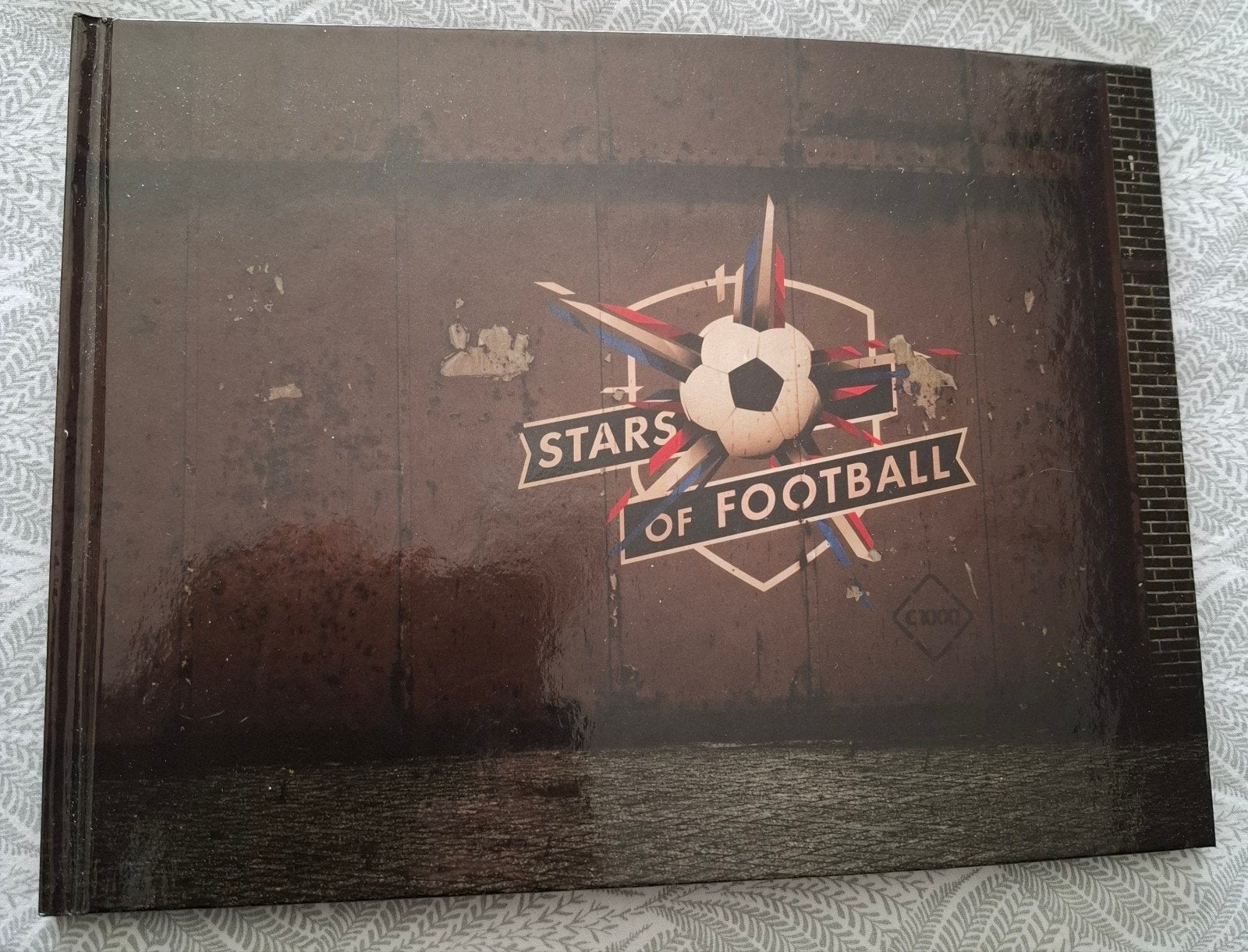 Stars of Football Boek - Wesley Sneijder en meer, Ophalen of Verzenden, Zo goed als nieuw, Onbekend, Balsport