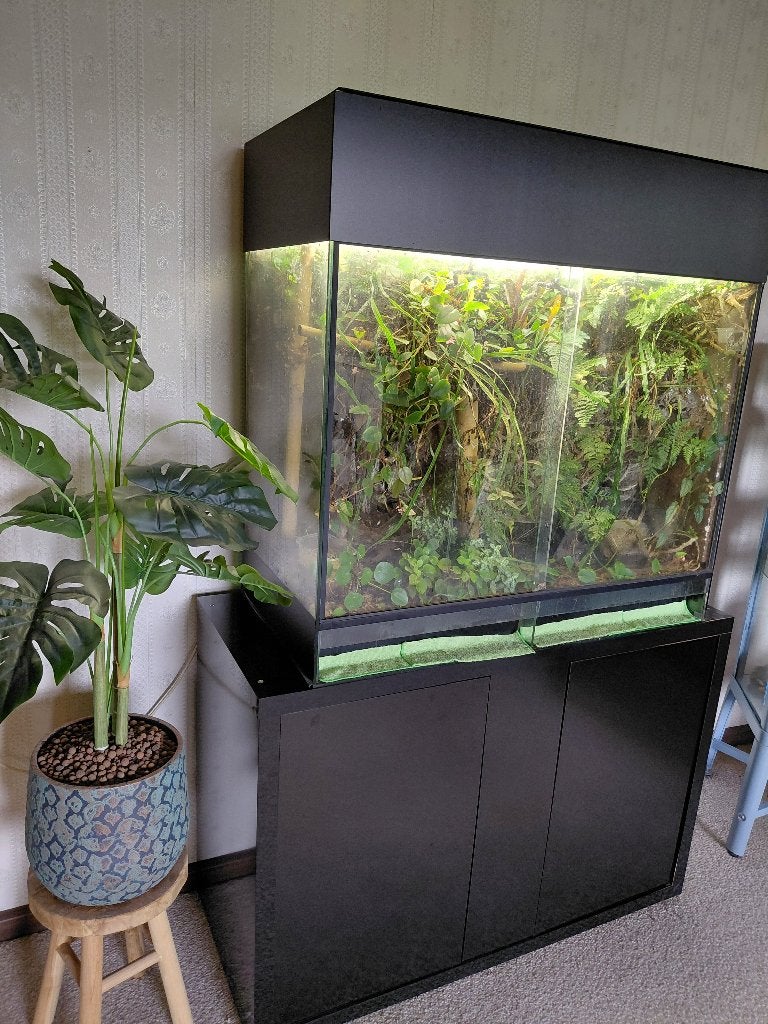 Paludarium, Ophalen, Gebruikt, Terrarium of Paludarium