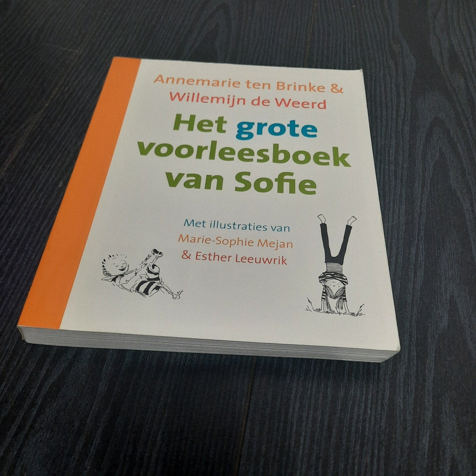 Het grote voorleesboek van Sofie - Annemarie ten Brinke, Ophalen, Zo goed als nieuw, Annemarie ten Brinke & Willemijn de Weerd