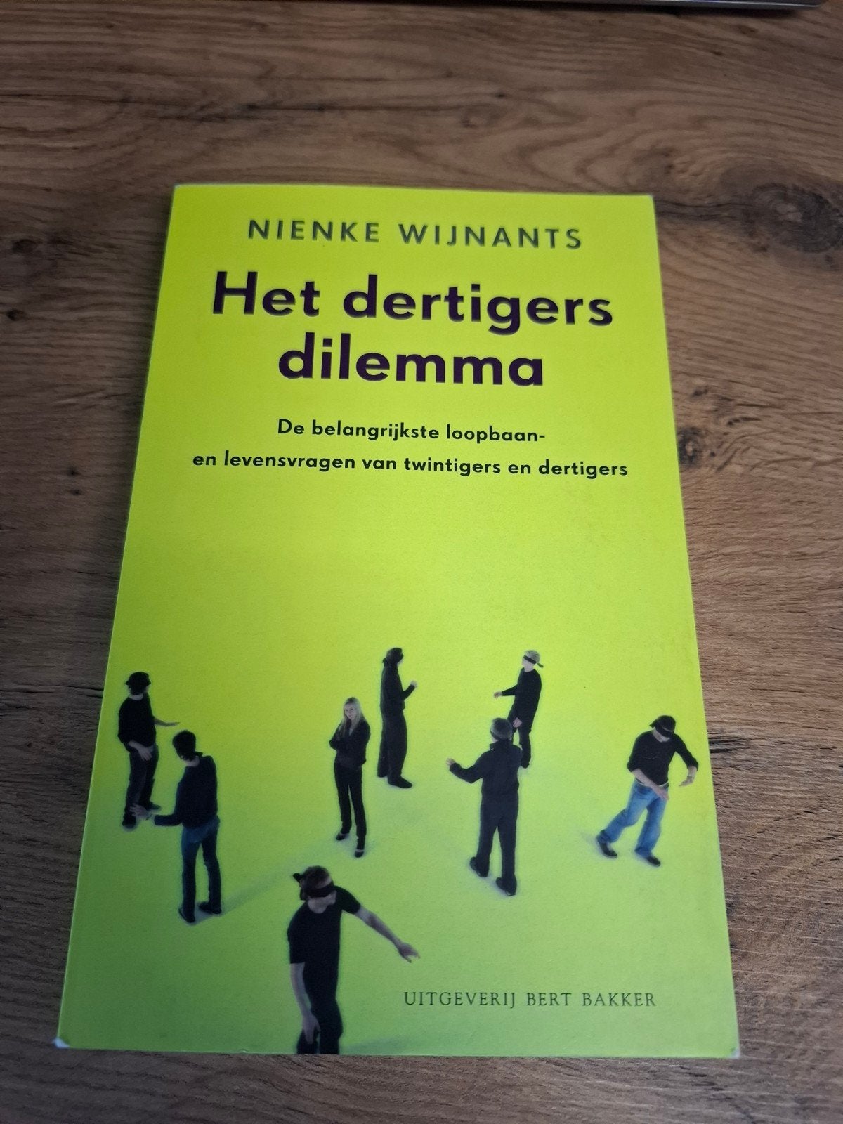 Het dertigers dilemma - Nienke Wijnants, Ophalen of Verzenden, Zo goed als nieuw, Nienke Wijnants