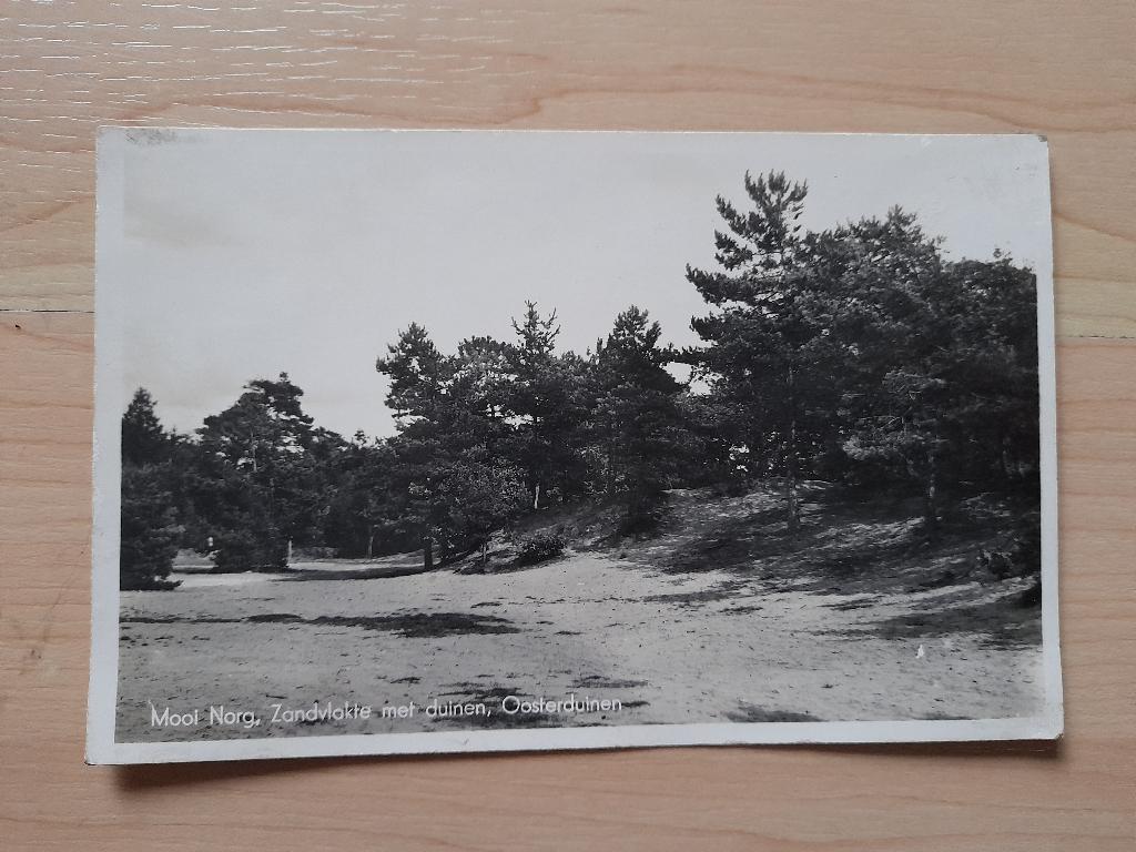 ANSICHTKAART MOOI NORG ZANDVLAKTE MET DUINEN OOSTERDUINEN, Ophalen of Verzenden, 1960 tot 1980, Gelopen, Drenthe