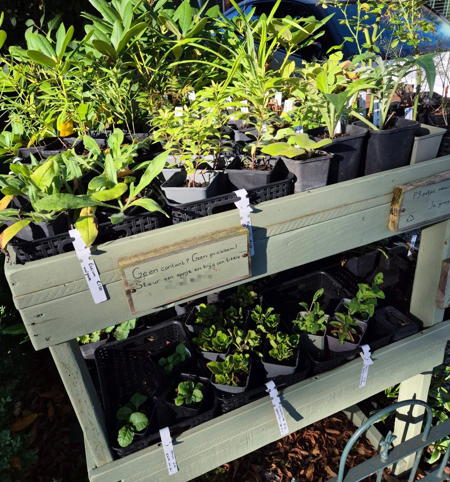 Plantenkraam | Vaste Planten, Ophalen