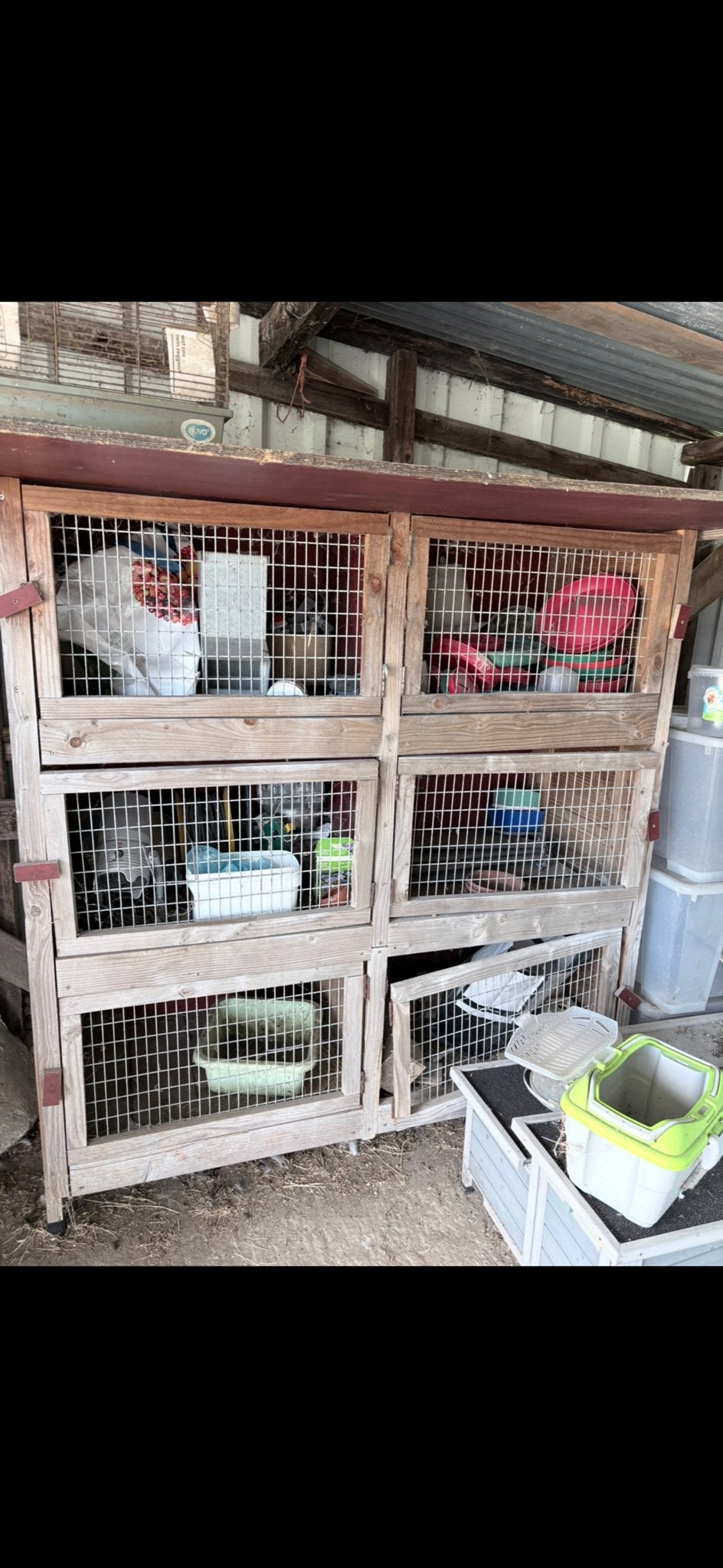 Konijnenflat, Dieren en Toebehoren, Ophalen, 90 cm of meer, Konijn, Hok