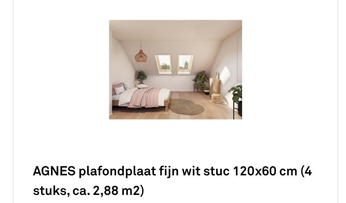 Agnes plafondplaat glad wit, Doe-het-zelf en Verbouw, Ophalen, Nieuw, Overige materialen, Minder dan 20 mm