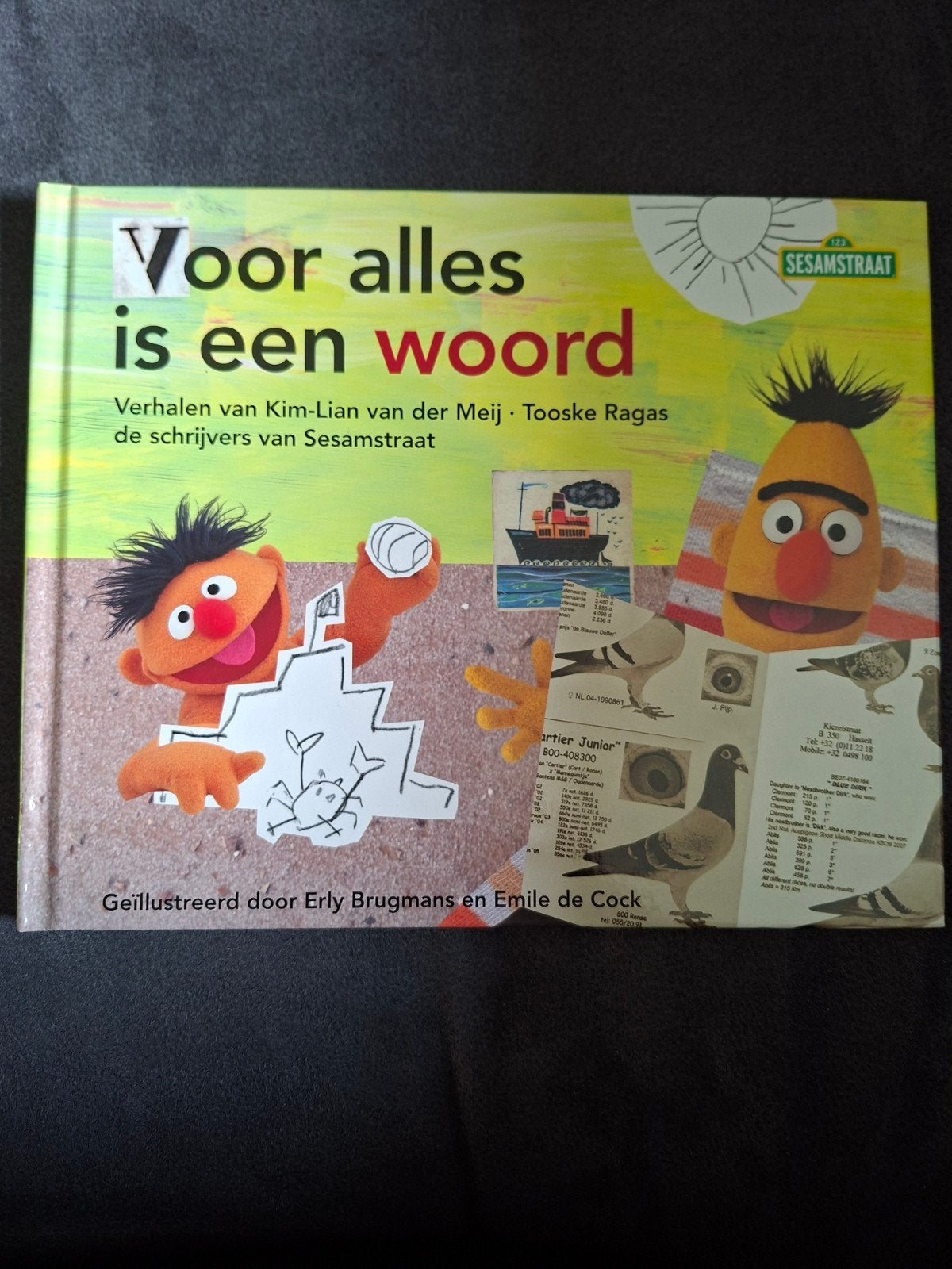 Voor alles is een woord - Sesamstraat voorleesboek, Boeken, Ophalen of Verzenden, Zo goed als nieuw, Kim-Lian van der Meij, Tooske Ragas
