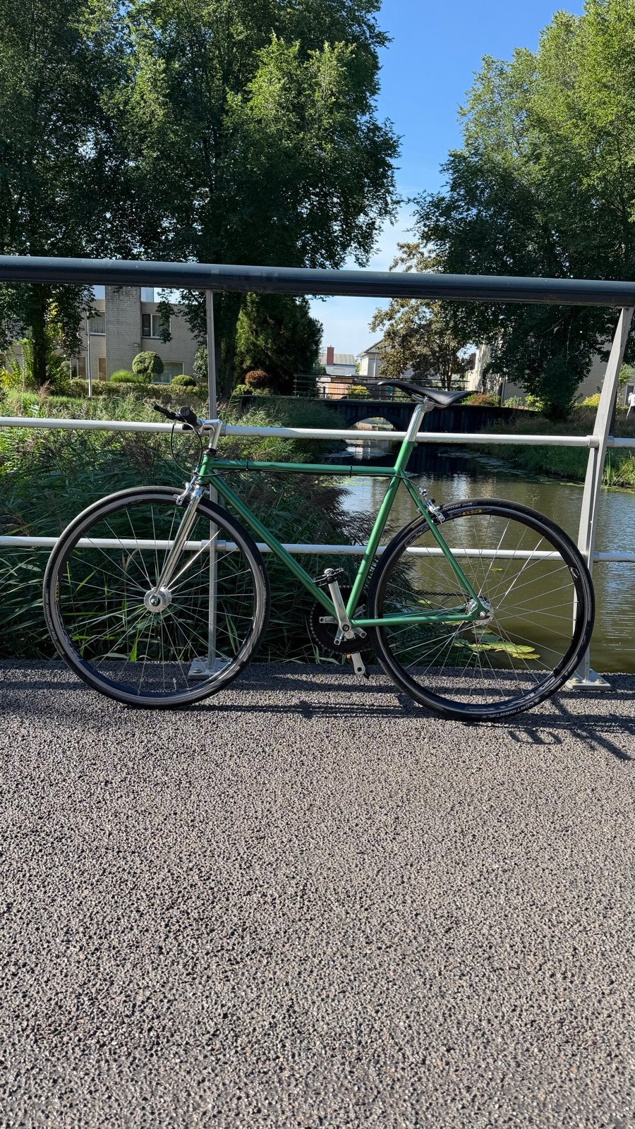 CustomCampagnolo SingleSpeed Miche onderdelen Metallic Groen, Staal, Zo goed als nieuw, 53 tot 57 cm, Ophalen