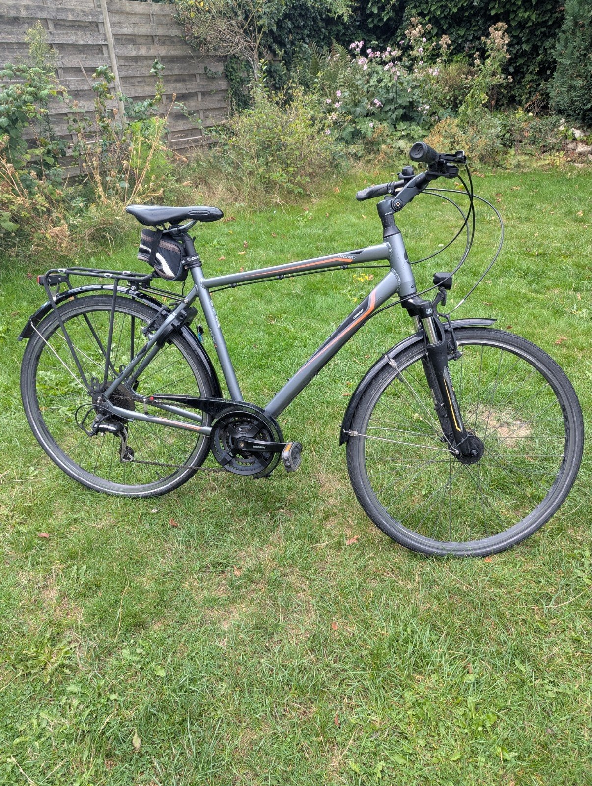 Giant Argento  hybride fiets - Nette staat - 21speed Shimano, Ophalen, Velgrem, Versnellingen, Giant