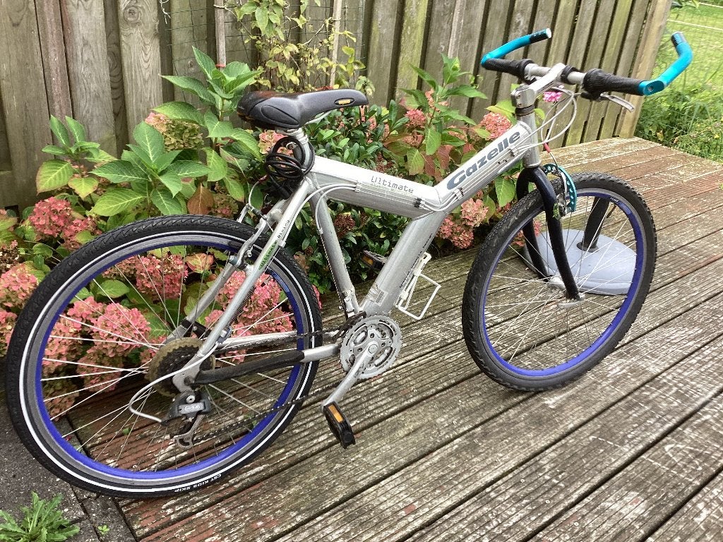 Mountainbike, Fietsen en Brommers, Ophalen, Gebruikt, Heren, Gazelle