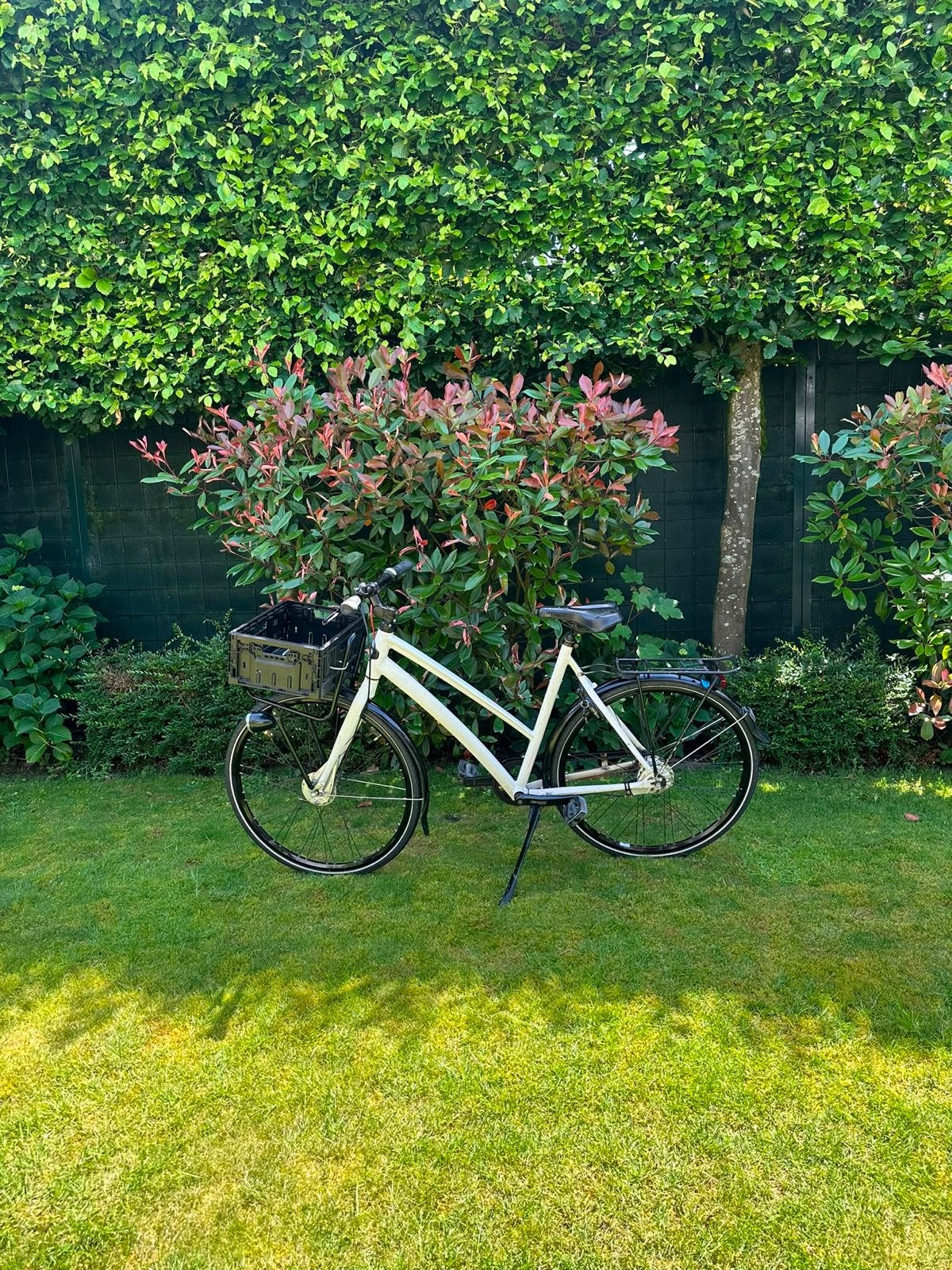 Gazelle Transporter - Ideaal voor stadsritten, Ophalen, Versnellingen, Gazelle, Trommelrem