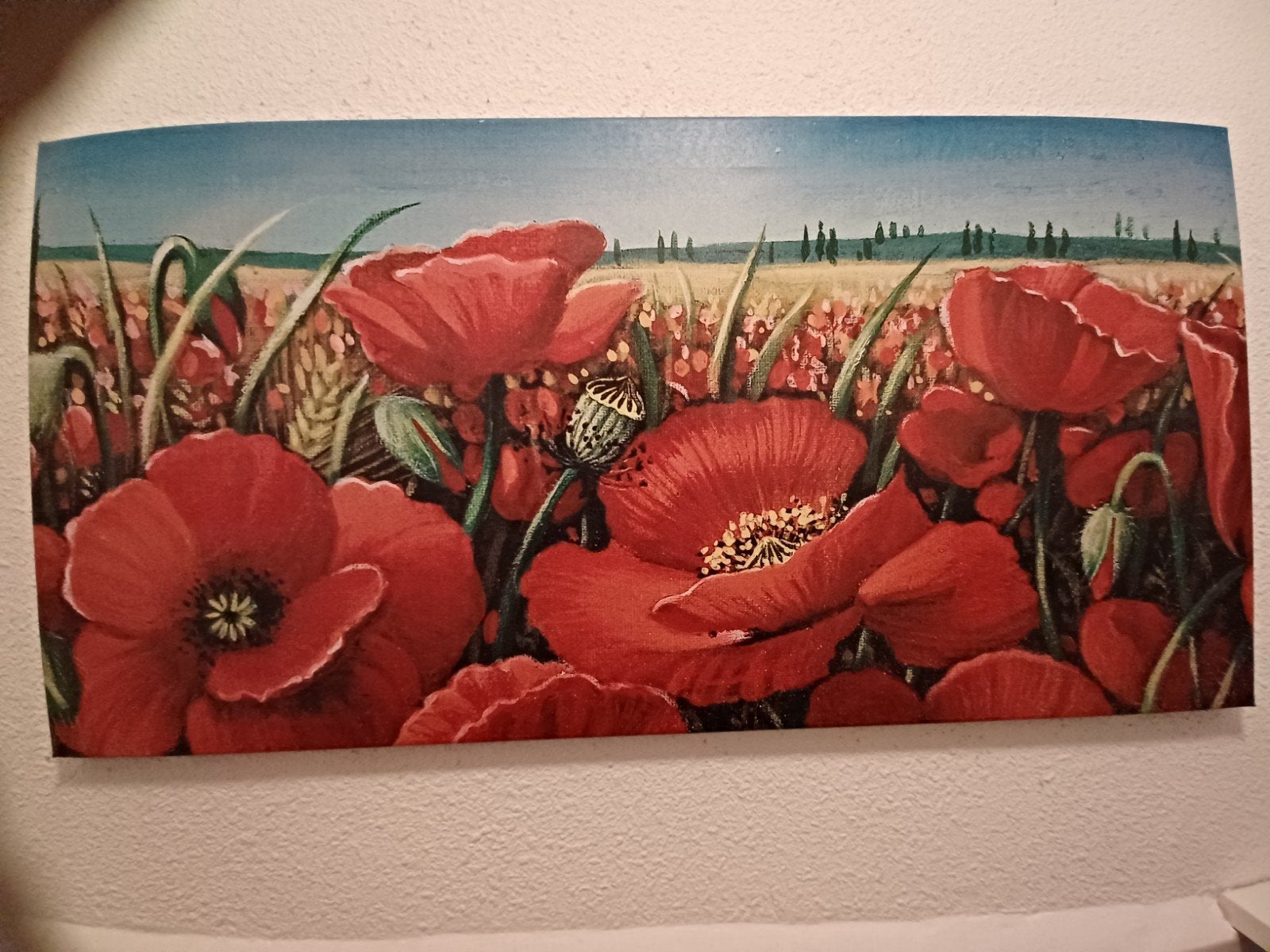 Schilderij klaprozen papaver veld canvas doek, Ophalen of Verzenden