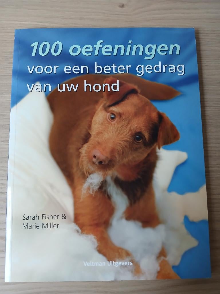 100 oefeningen voor een beter gedrag van uw hond, Boeken, Sarah  Fisher, Honden, Ophalen of Verzenden, Zo goed als nieuw