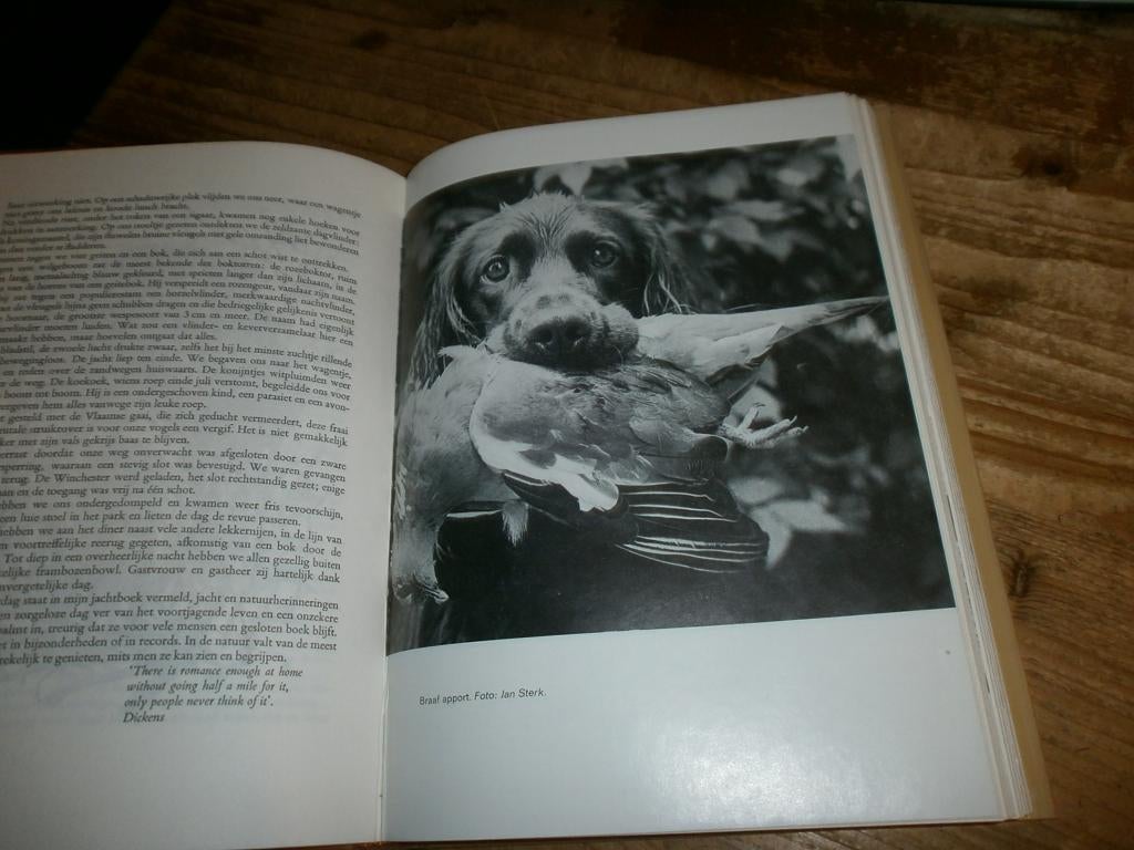 jacht in bos en veld amateur ea met fotos en afbeeldingen, Ophalen of Verzenden, Gelezen, Overige onderwerpen