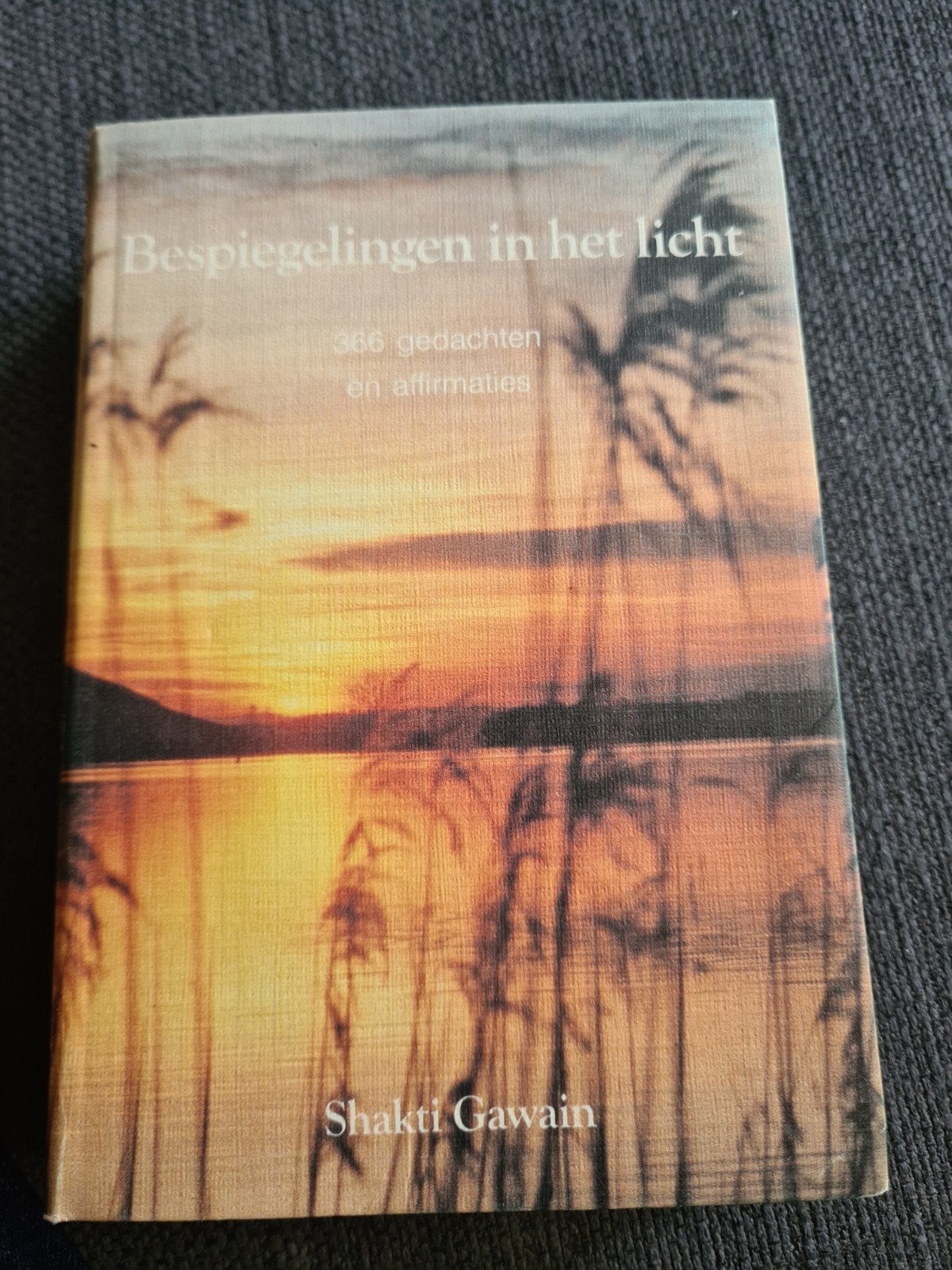 Bespiegelingen in het licht - Shakti Gawain, Ophalen of Verzenden