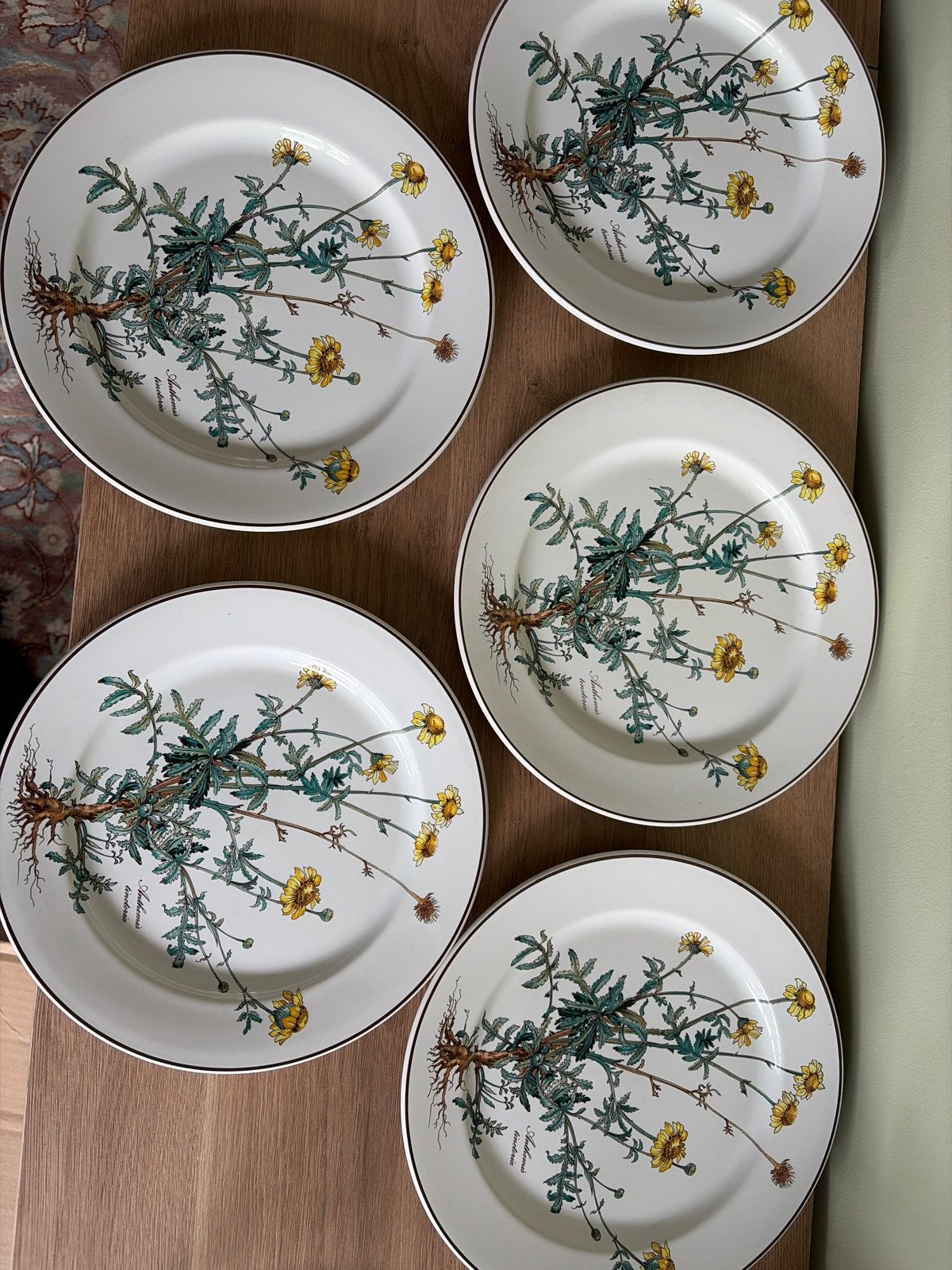 5 Villeroy & Boch Botanica borden - Anthems tinctoria, Huis en Inrichting, Keuken | Servies, Ophalen, Klassiek, Villeroy & Boch