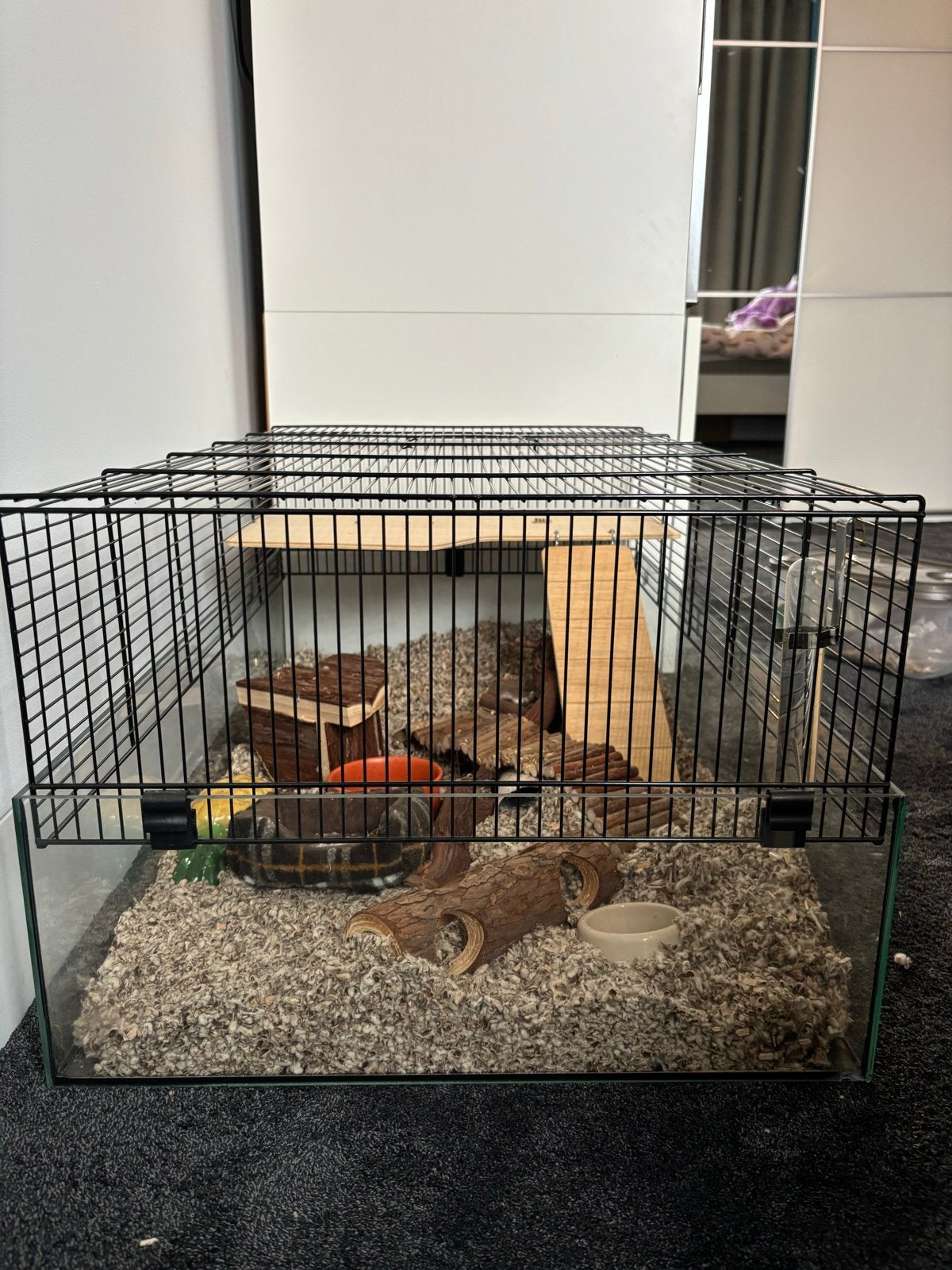 Syrische hamster, Ophalen, Zo goed als nieuw, Knaagmateriaal