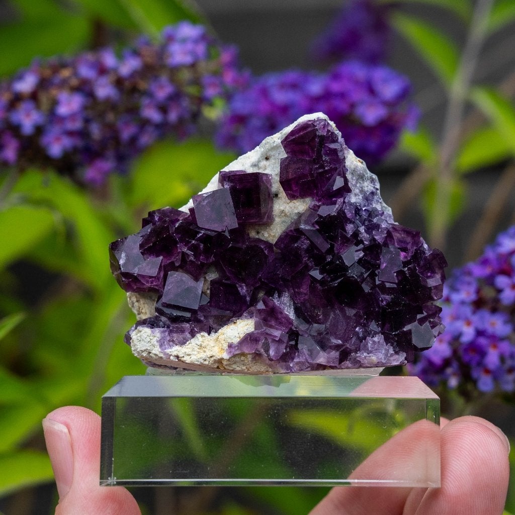 Fluoriet uit Anhui #6, Verzamelen, Ophalen of Verzenden, Mineraal