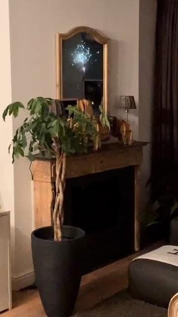 Schouw met alle toebehoren te koop, als nieuw!, Huis en Inrichting, Ophalen, Gebruikt, Vrijstaande haard, Overige soorten