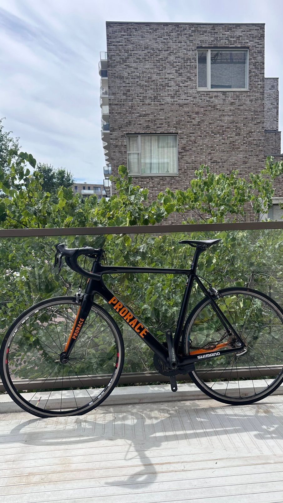 Prorace Carbon Racefiets - Ultegra Di2 - Maat 54, Ophalen, Zo goed als nieuw, Overige typen