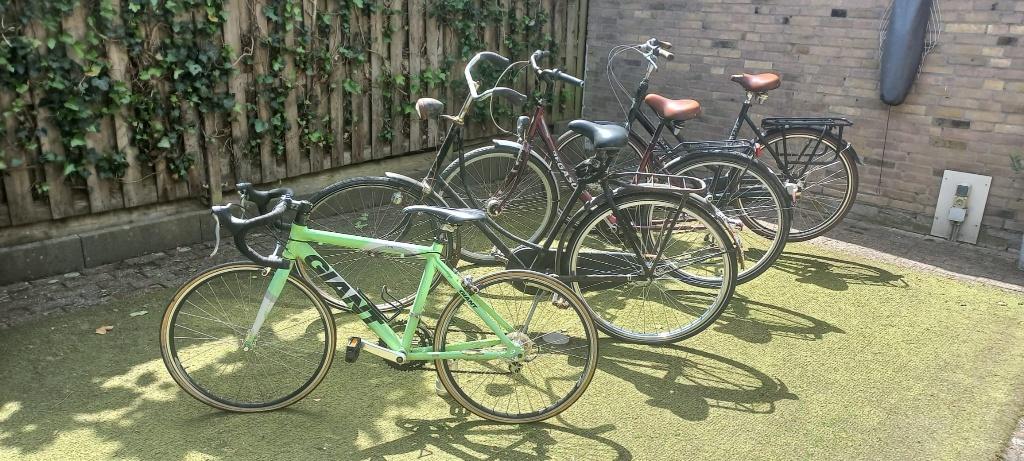 4 gebruikte fietsen, Ophalen, Gebruikt