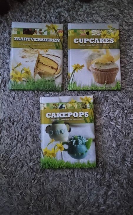 Cake Pops, Cupcakes & Taartversieren Boekjes, Ophalen of Verzenden, Gelezen, Taart, Gebak en Desserts