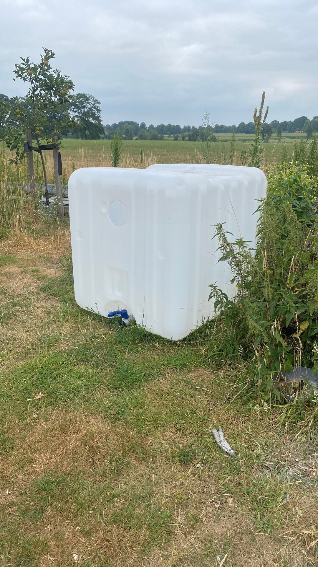 Ibc krat, 150 liter of meer, Ophalen, Gebruikt