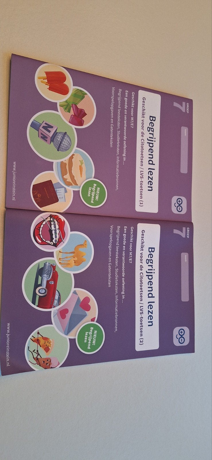 Begrijpend lezen boeken Groep 7 - Junior Einstein, Ophalen of Verzenden, Zo goed als nieuw, Overige niveaus
