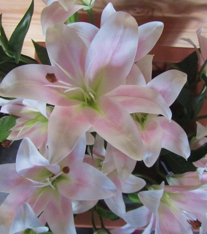 MICA TIJGER LELIE - REAL TOUCH - PLANT - KOOPJE, Ophalen of Verzenden, Nieuw