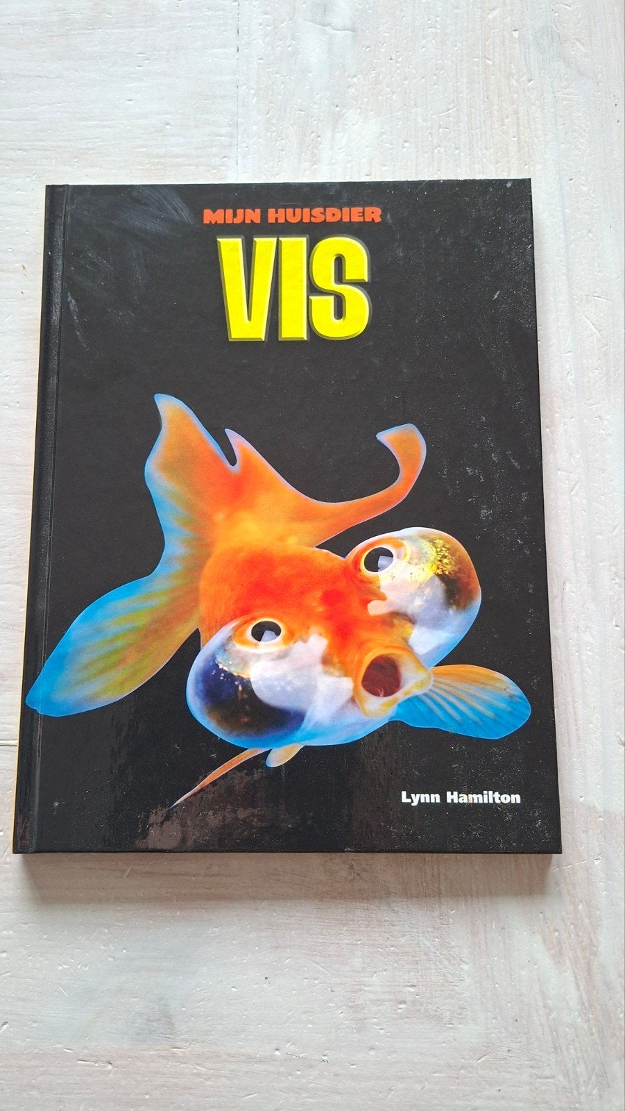 Mijn Huisdier: Vis - Leer alles over vissen!, Ophalen of Verzenden, Zo goed als nieuw, Vissen, Lynn Hamilton