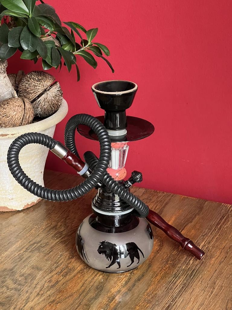 Shisha, waterpijp in originele doos, Ophalen, Zo goed als nieuw, (Water)pijp