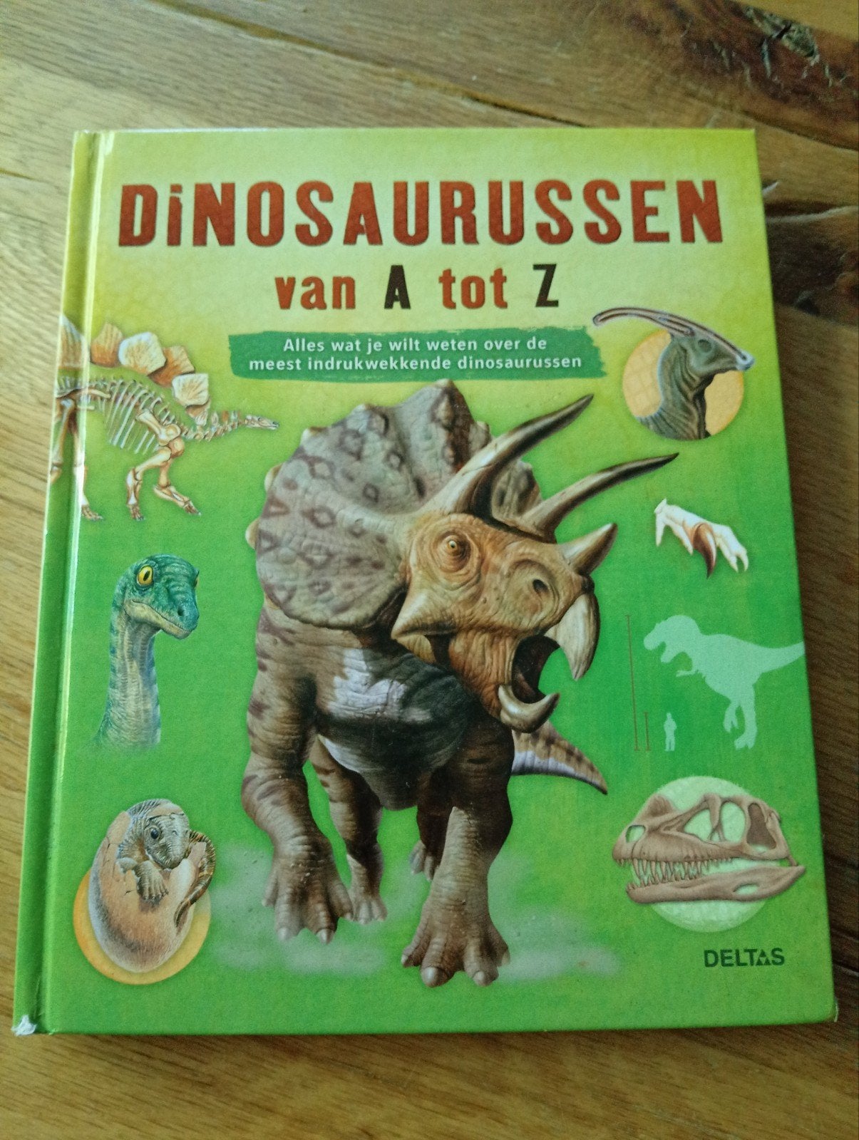 Dinosaurussen van A tot Z - Alles over dinosaurussen, Non-fictie, Ophalen of Verzenden, Onbekend, Gelezen