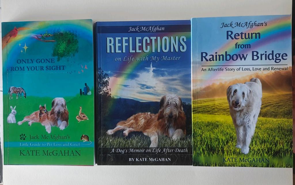 Rainbow Bridge serie van Jack McAfghan, Ophalen of Verzenden, Zo goed als nieuw, Katten
