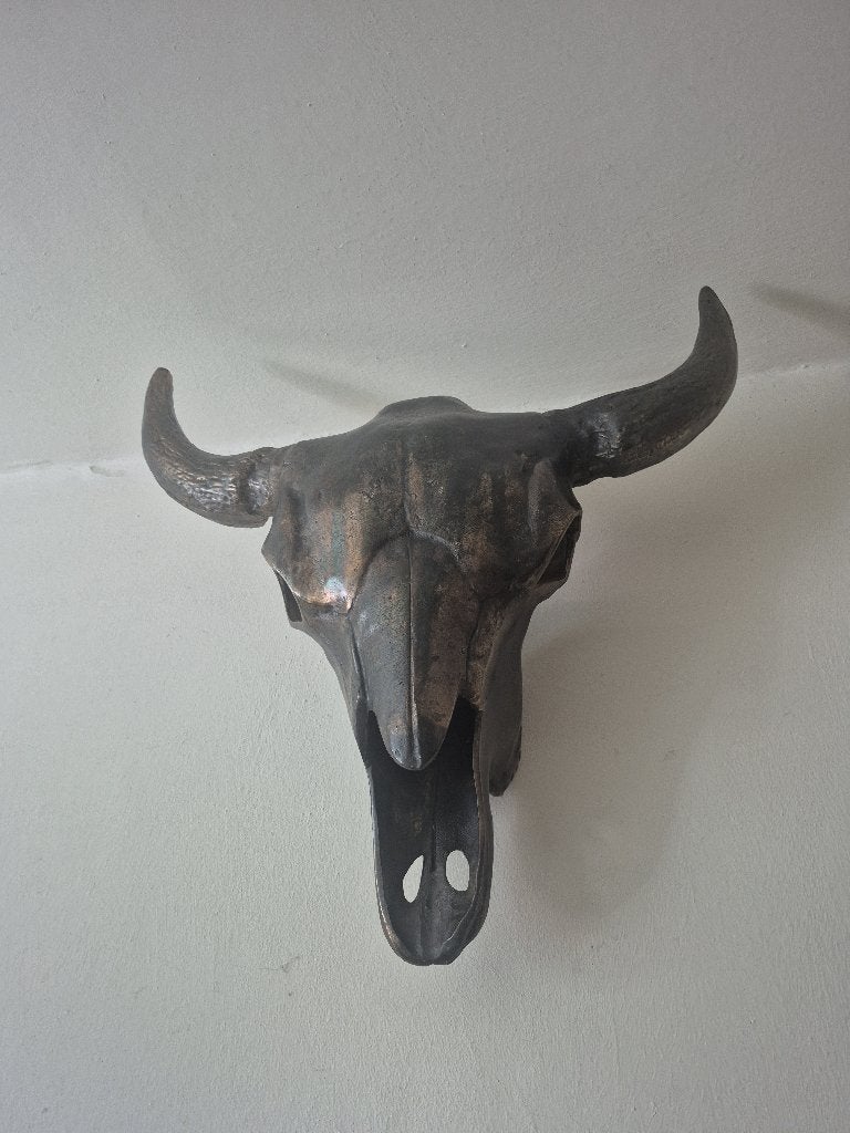 Stierenschedel wanddecoratie, Ophalen, Zo goed als nieuw, Decoratieobject