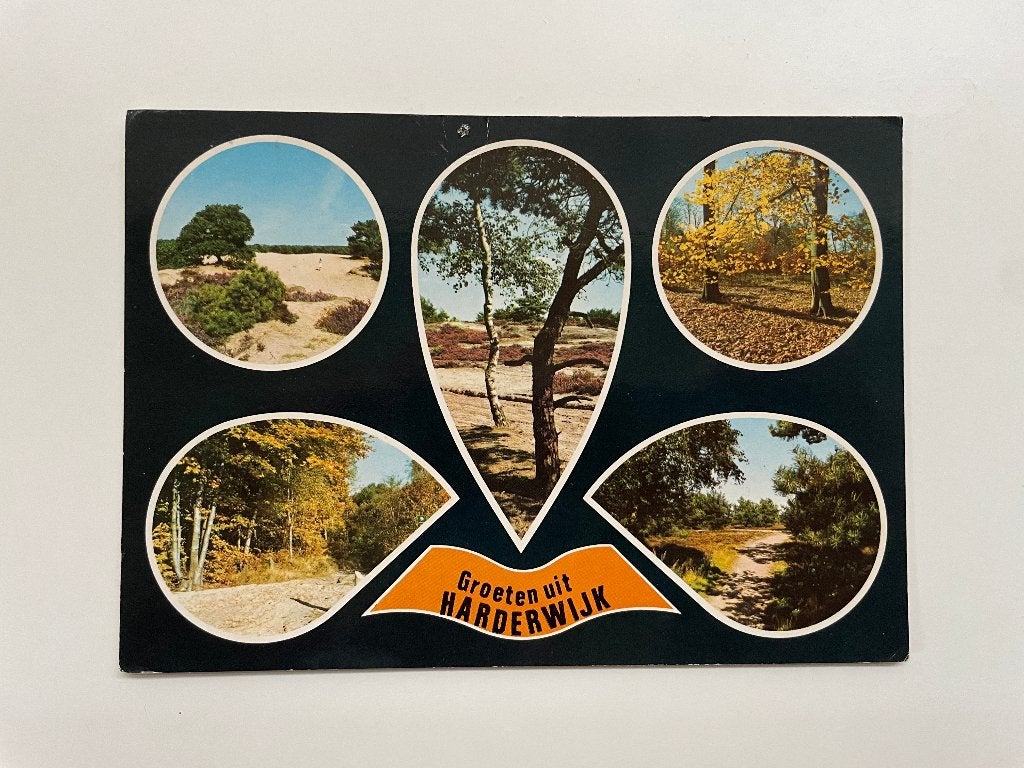 D849 Oude ansichtkaart Gelderland : Groeten uit Harderwijk, Ophalen of Verzenden, 1980 tot heden, Gelopen, Gelderland