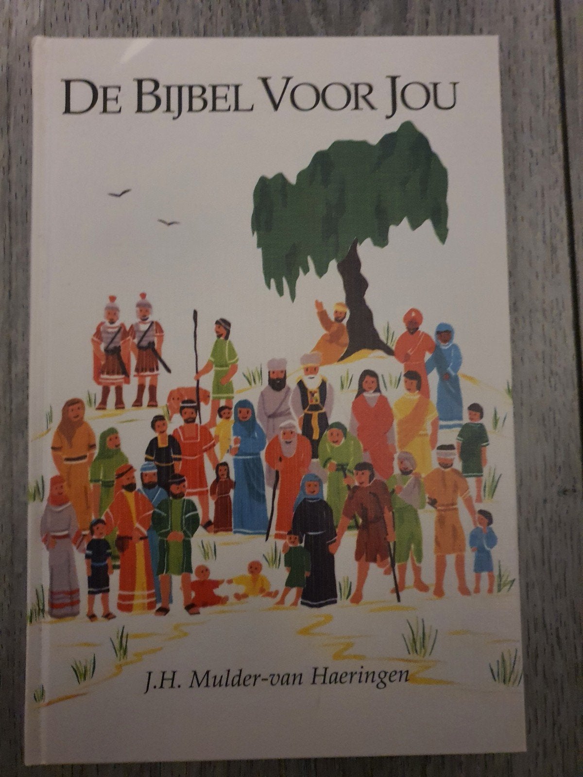 De Bijbel Voor Jou - J.H. Mulder-van Haeringen, Boeken, Ophalen of Verzenden, Gelezen, J.H. Mulder-van Haeringen, Christendom | Katholiek